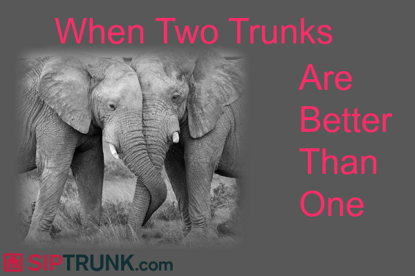 Two Trunks are Better Than One
